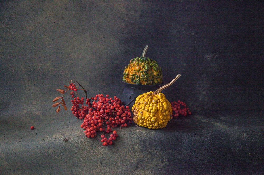 Photograph by Светлана Кавказская