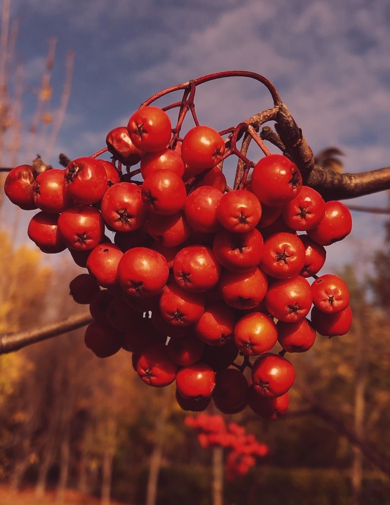 Photograph by Марина Георгиева