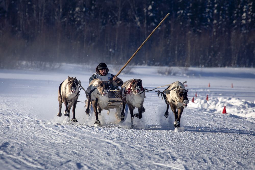 Photo #8954258