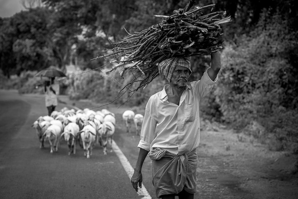Photograph by mohanan oruvayalil