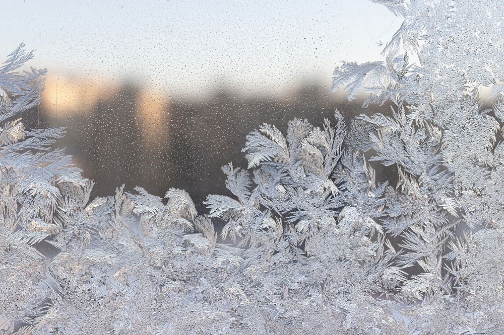 Фотография автора Наталья Василькова