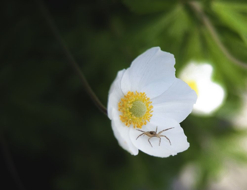 Photograph by Карина