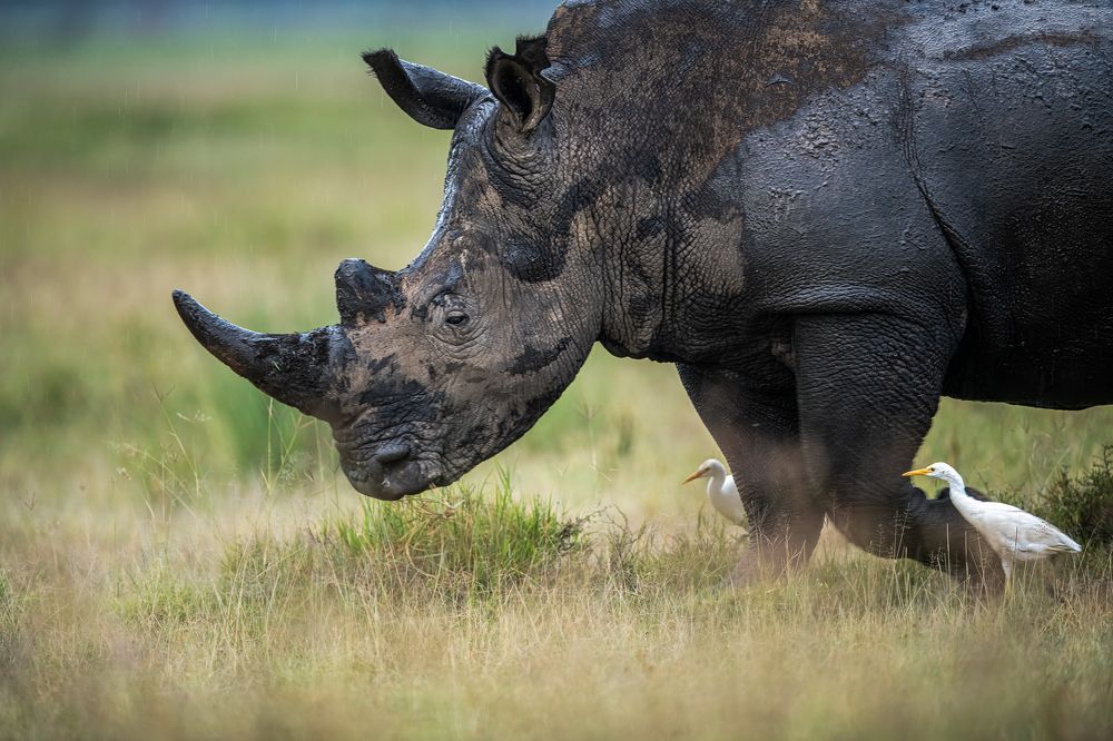 Фотография автора Sunny Saha Pramanick