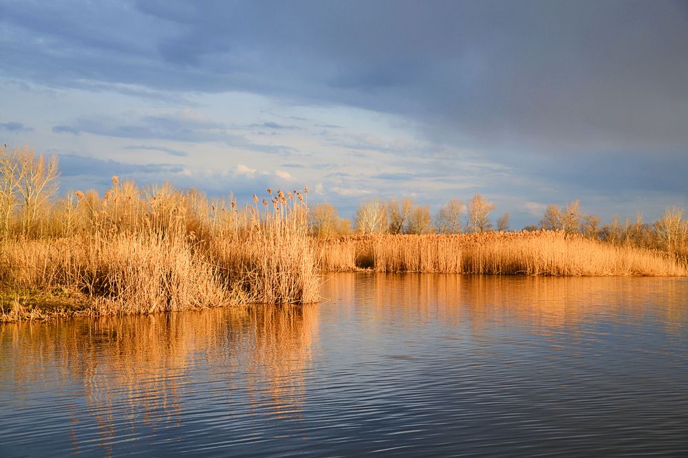 Весна в Плавнях / Spring in Plavni
