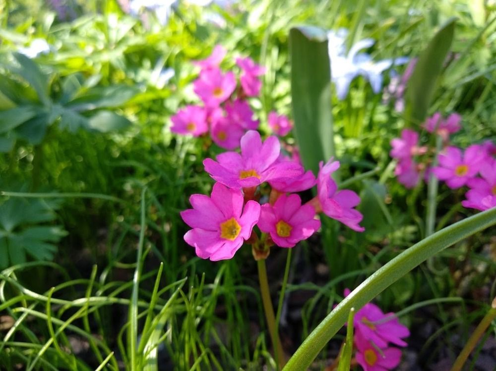 Photograph by Лариса Шишкова