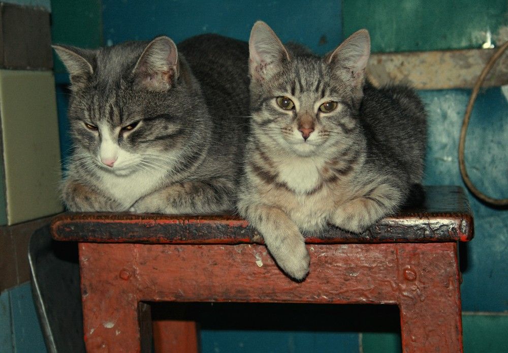 Photograph by Владимир Сафронов