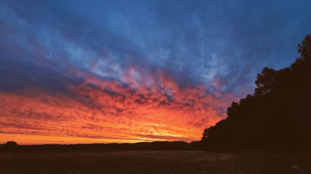 Photograph by Юлия Плаксина