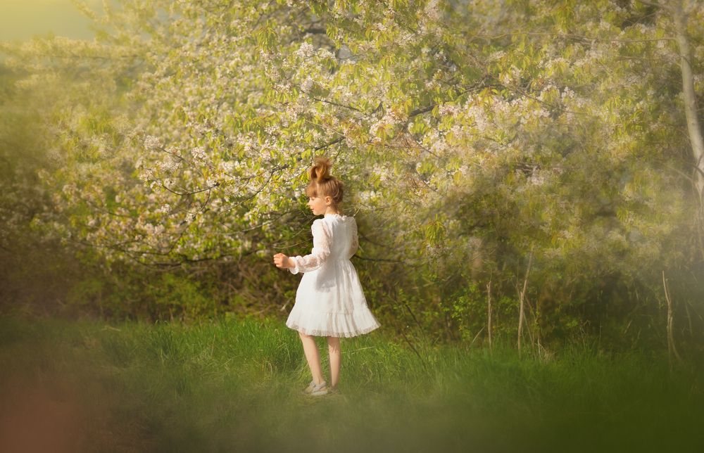 Photograph by Natalie K.