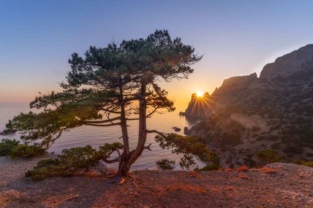 Photograph by Юлия Мальцева