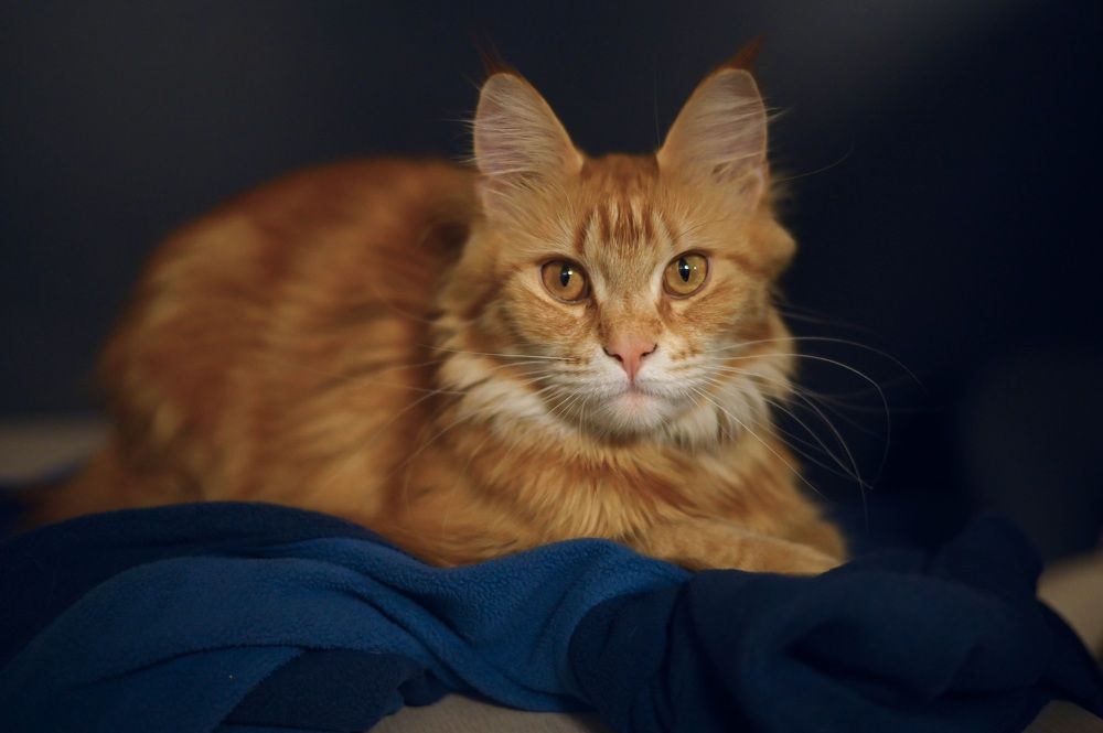 Photograph by Анна Петрова