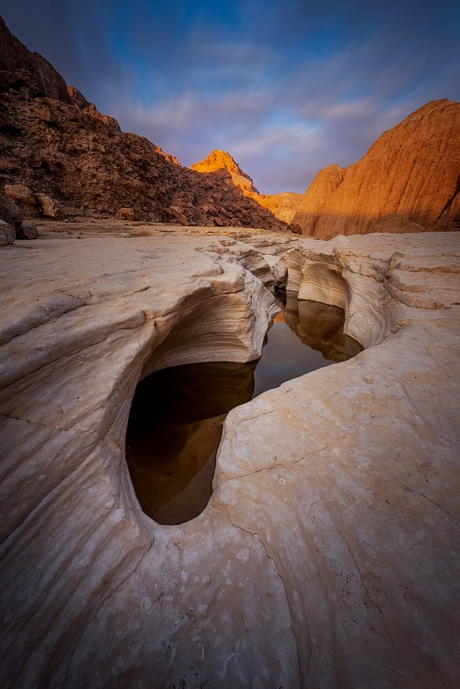 Desert in winter phase