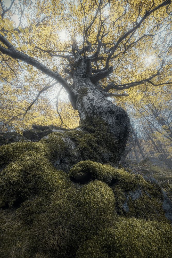 Photograph by edoardo orlandi