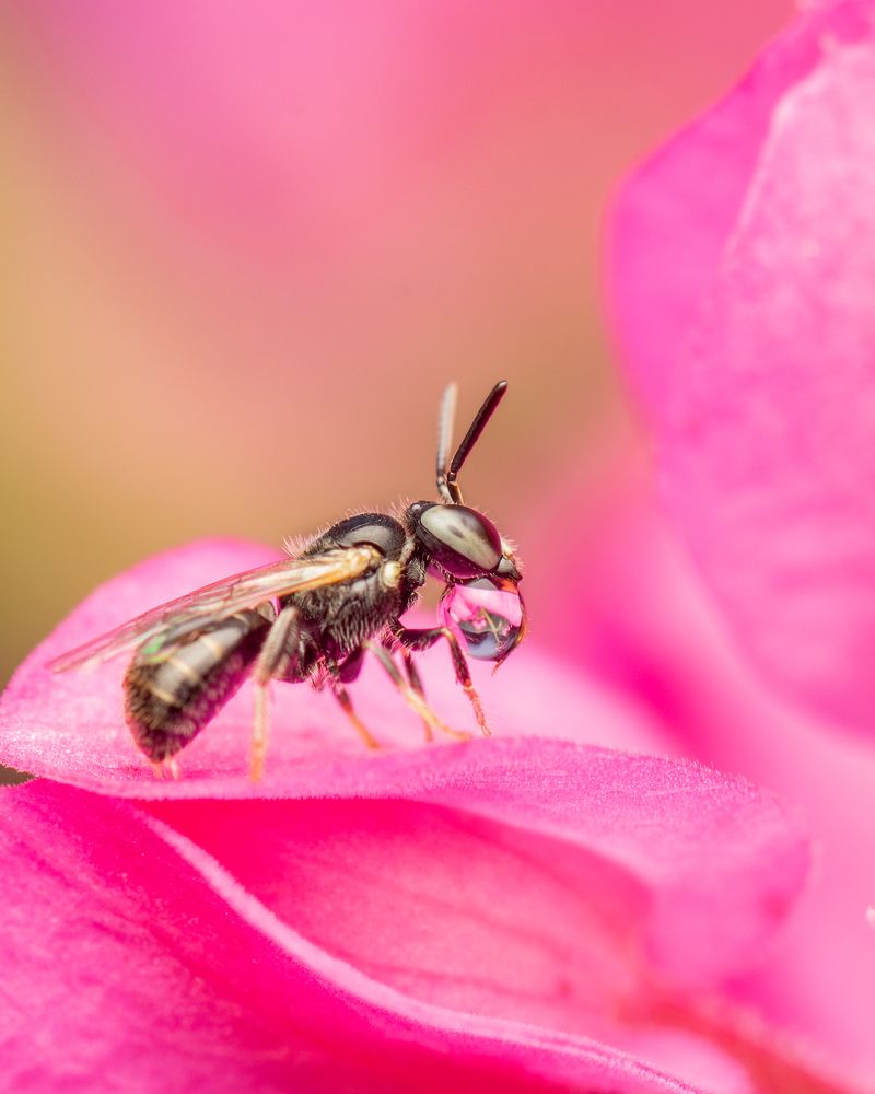 Photograph by Utkarsh Patil