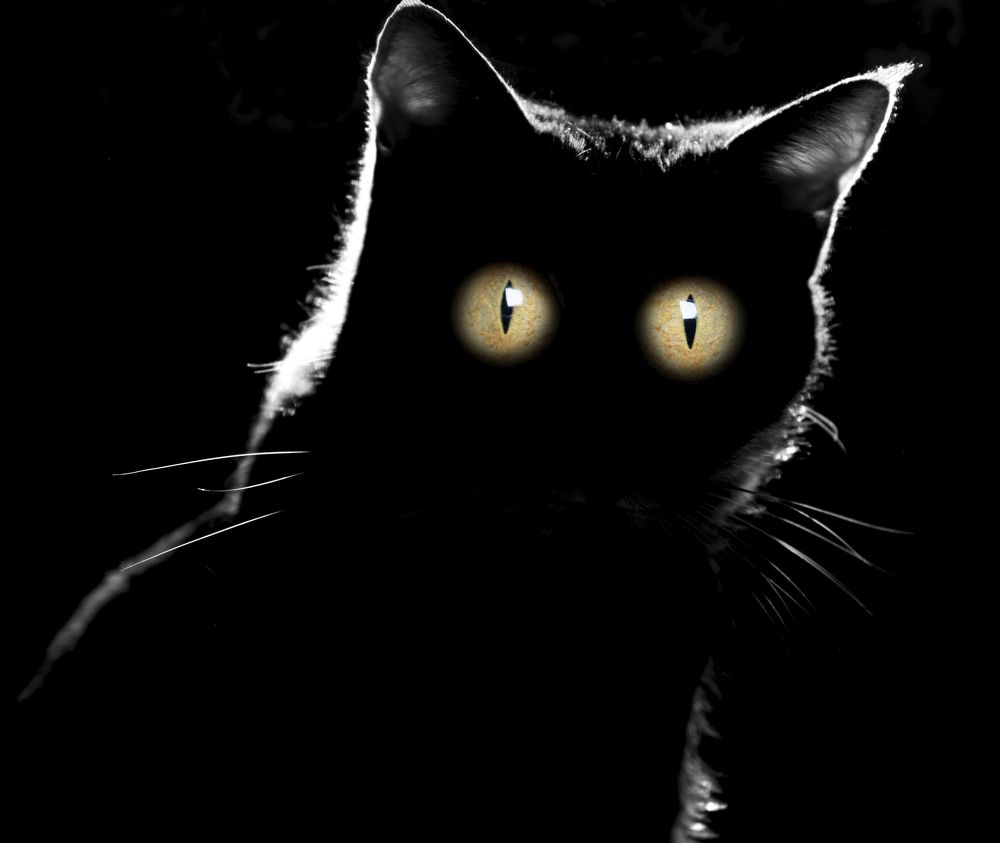 Photograph by Elena Lopatina