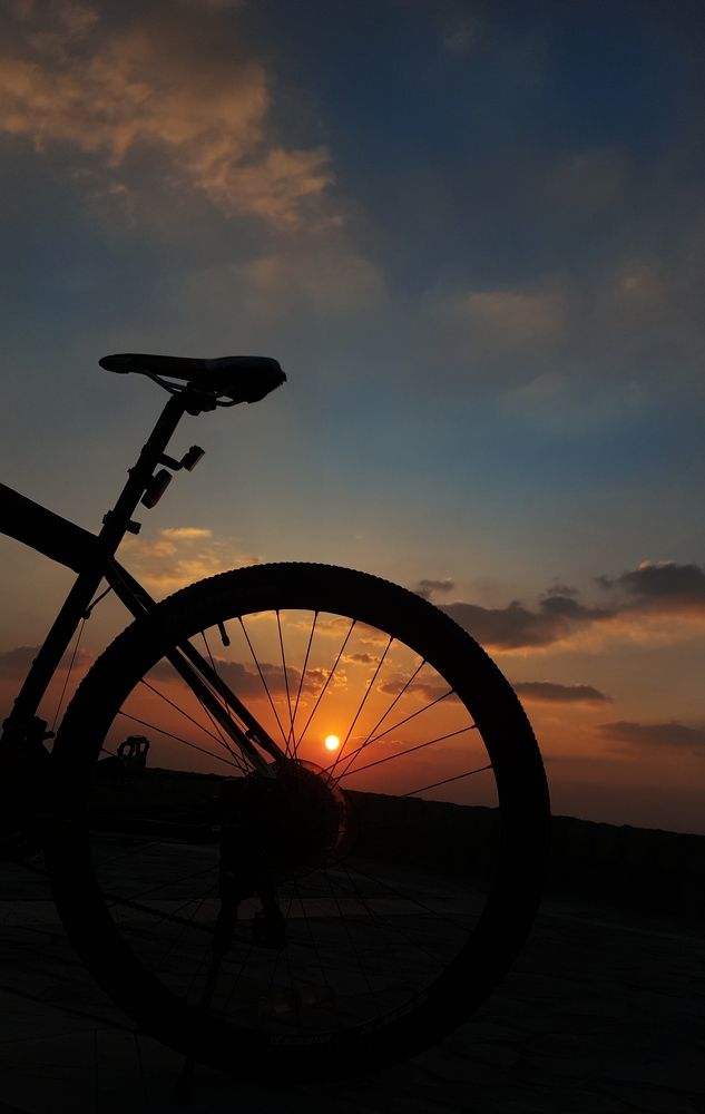 Photo #8954647