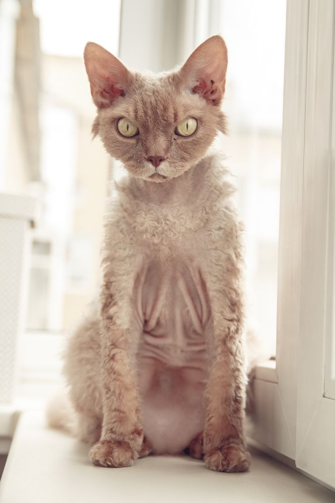 Photograph by Sveta Rubcova