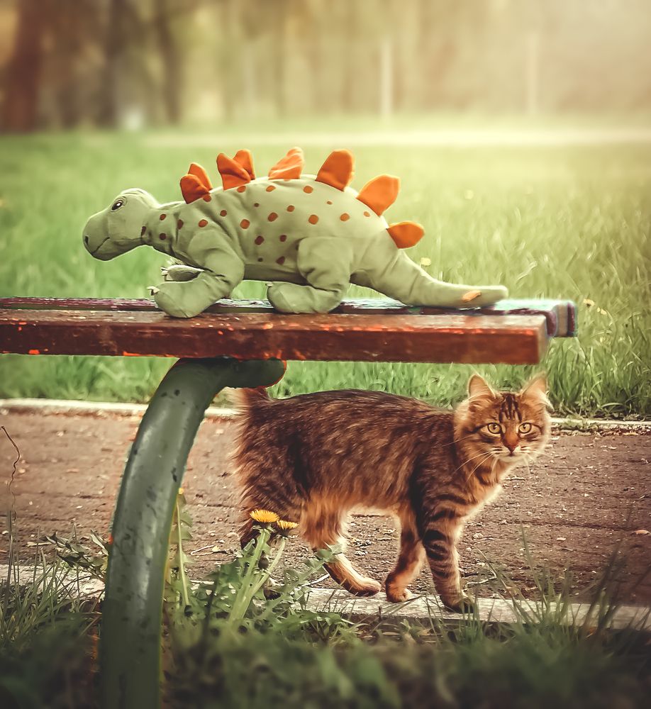 Photograph by TATIANA SHOSTAKA