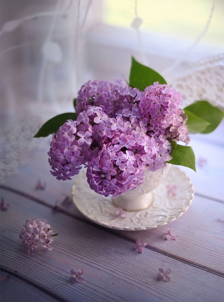 Photograph by Dana S.