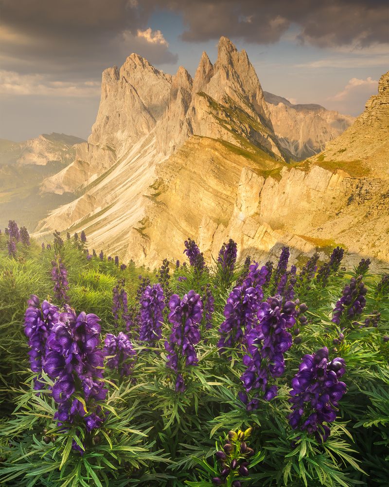 Фотография автора Peter Dužek