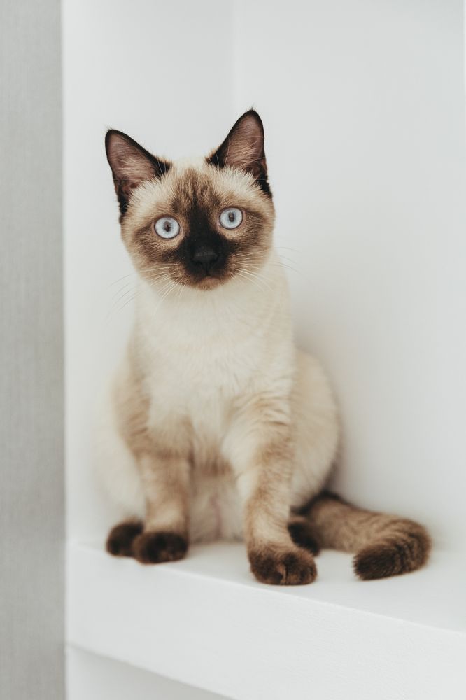 Photograph by Инна Смолякова