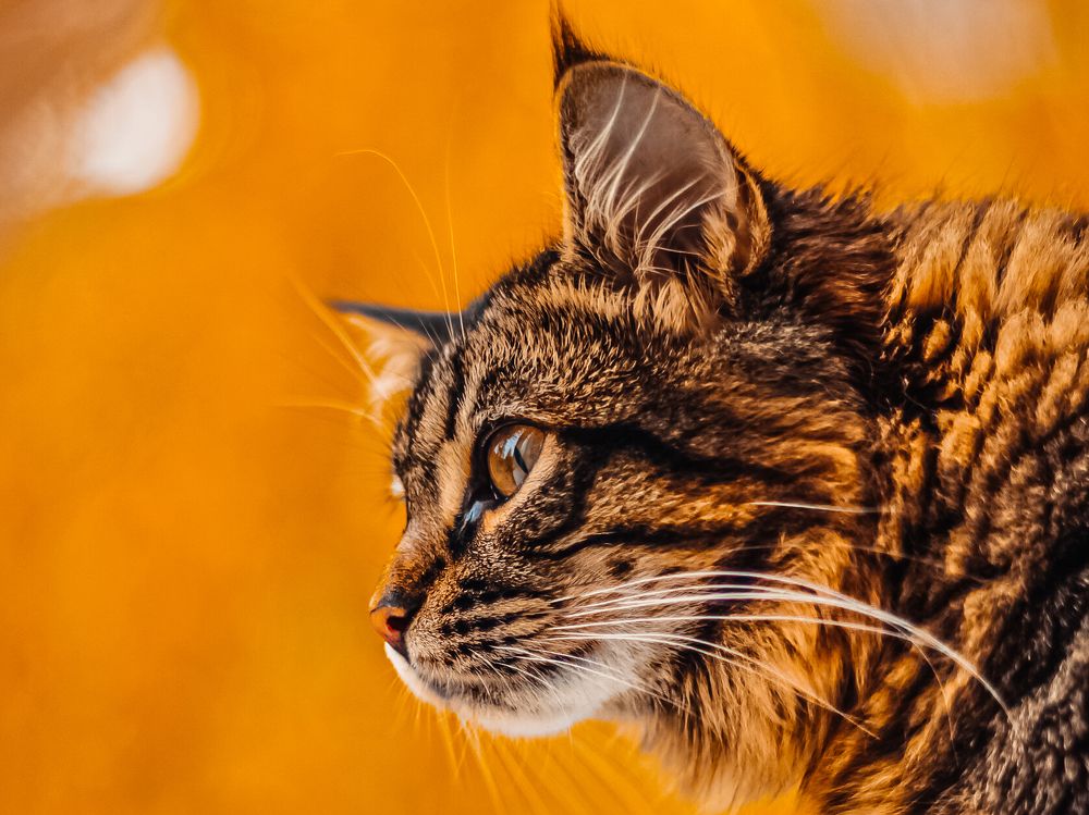 Photograph by Wrapper