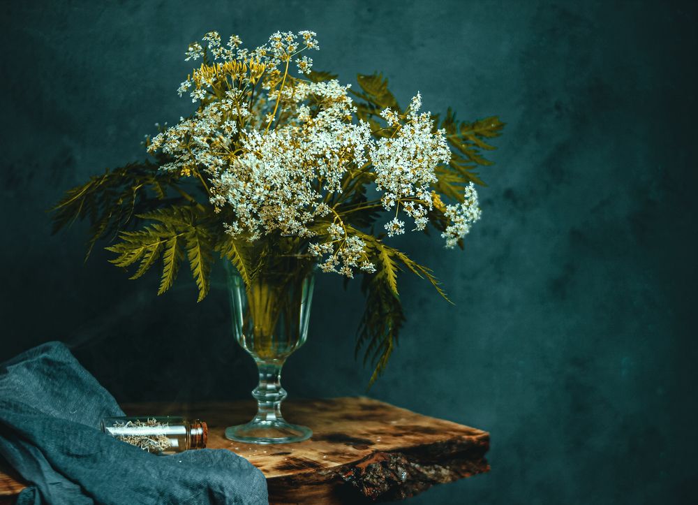 Photograph by Wrapper