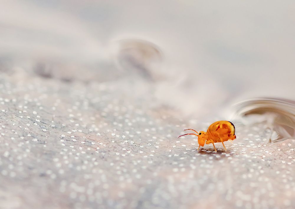 Photograph by Тарасова Ольга