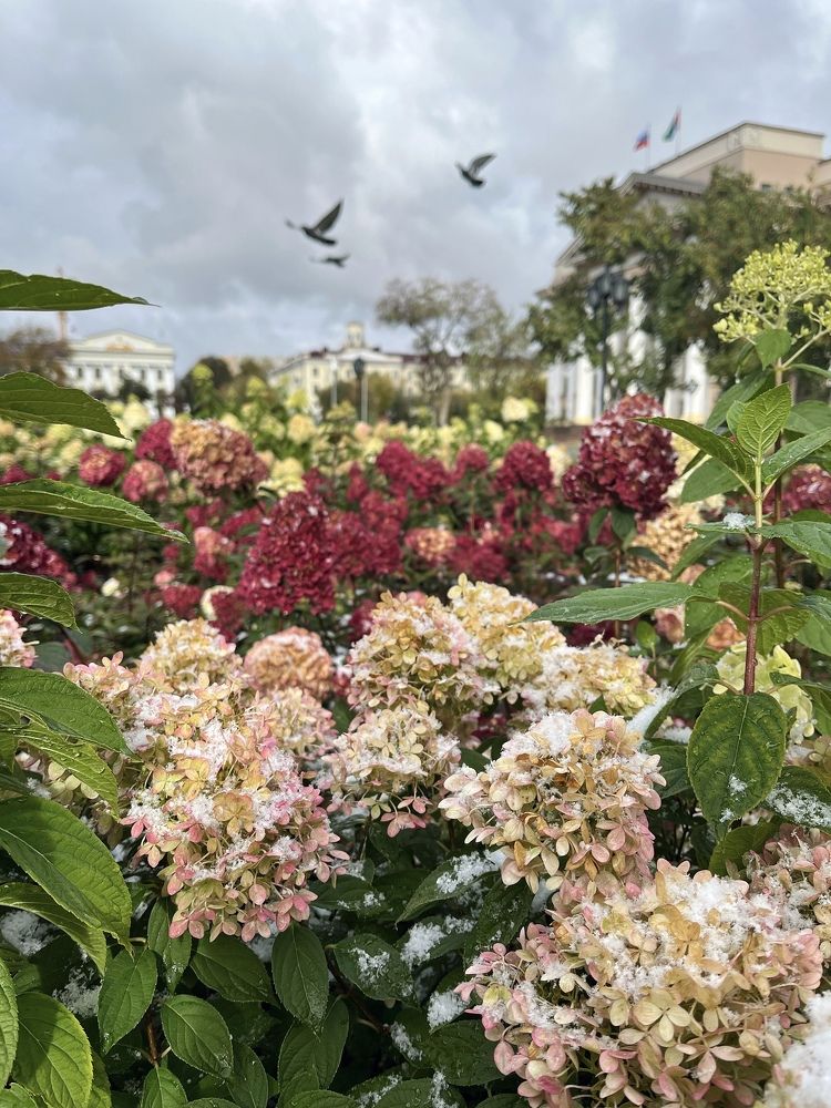 Photograph by Алена Шаргина