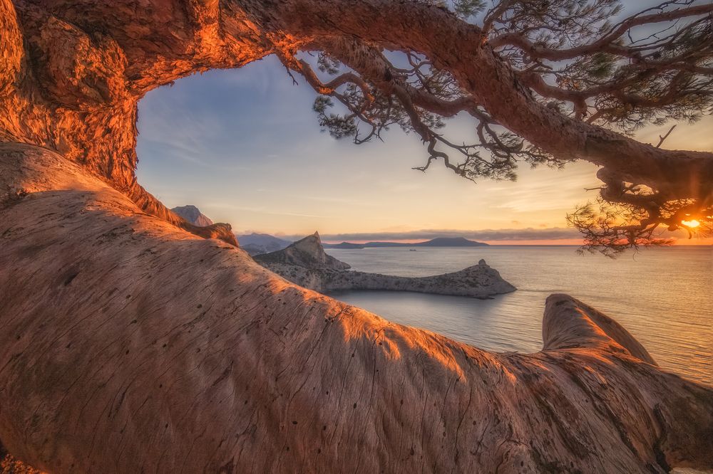 Фотография автора Дмитренко Екатерина