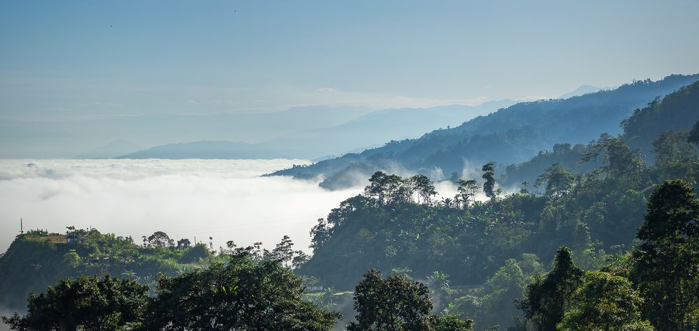 Photograph by Erika Babinsky