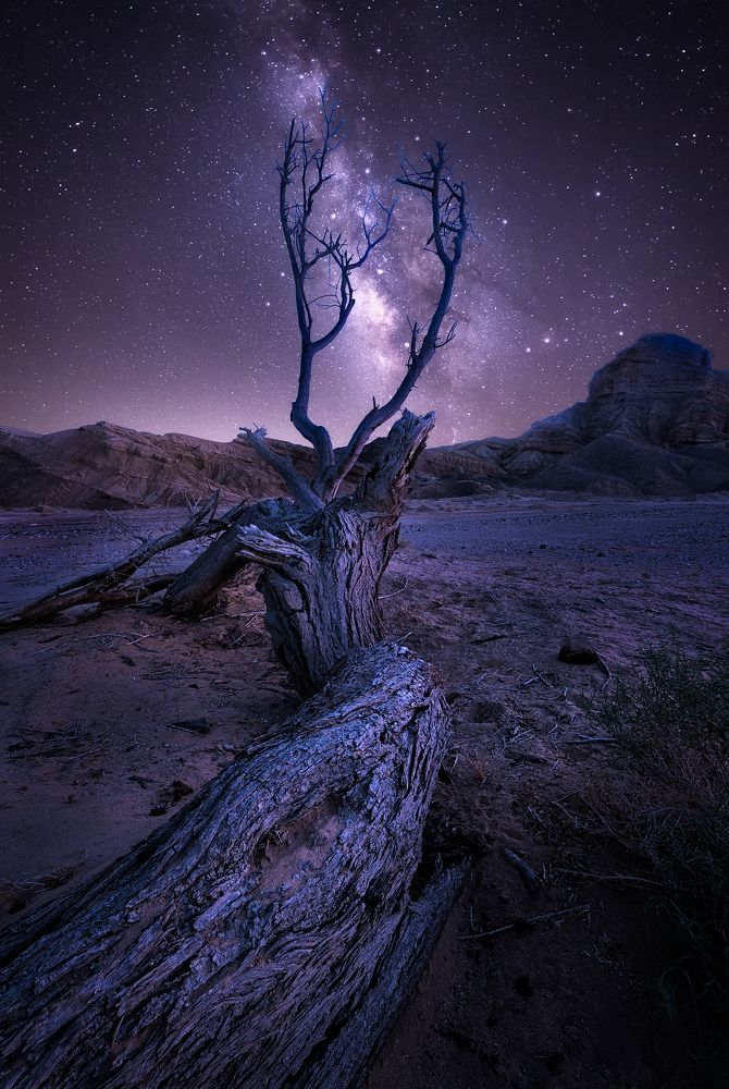 Photograph by Amos Ravid