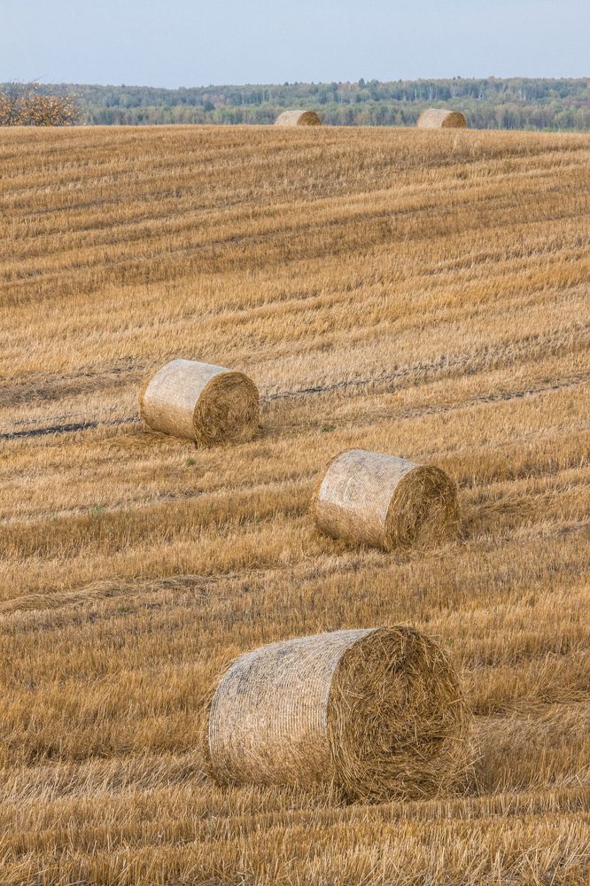 Photograph by Максим Тельманов