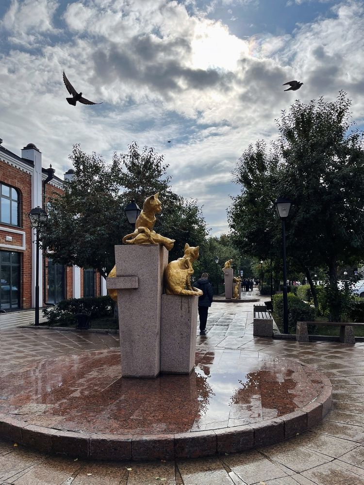 Photograph by Алена Шаргина