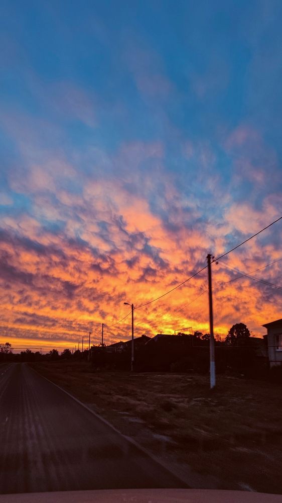 Photograph by Юлия Плаксина