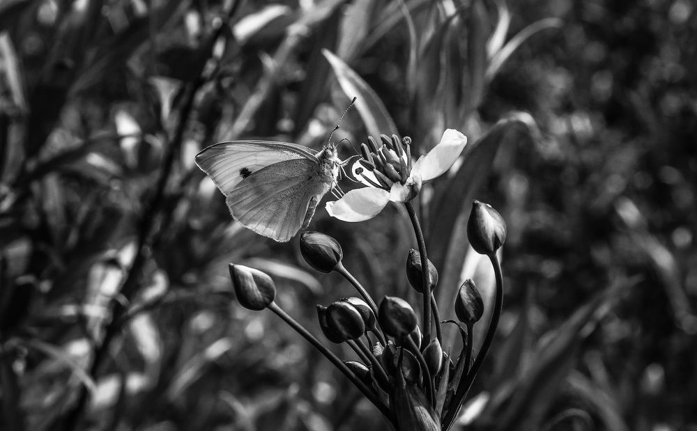 Photograph by Матвей Короткин