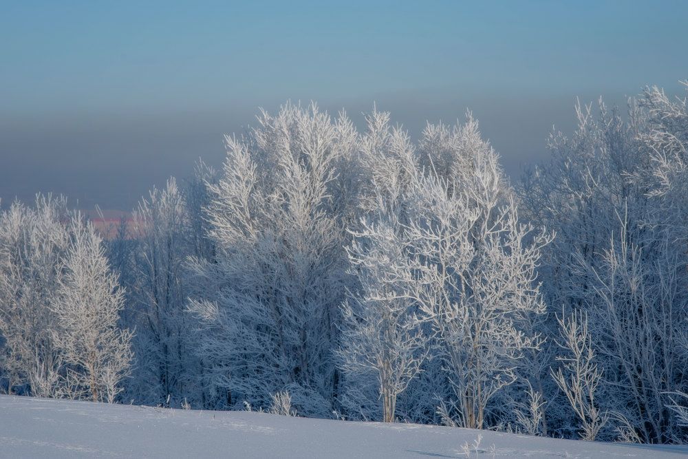 Photograph by Марина Зборацкая