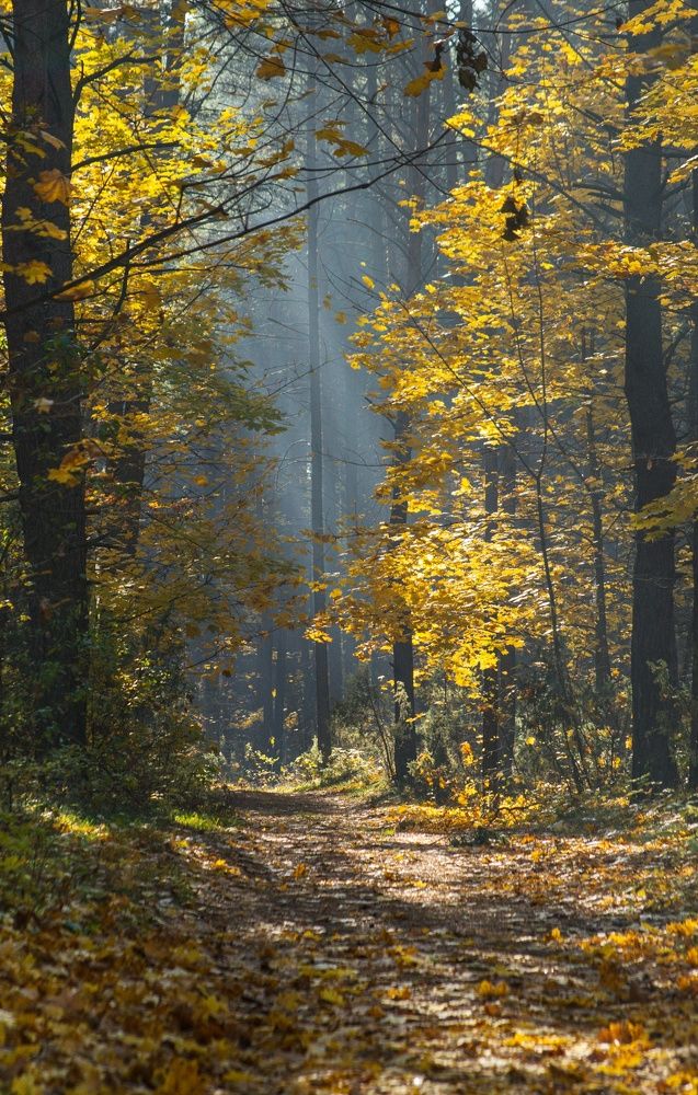 Photograph by Елена