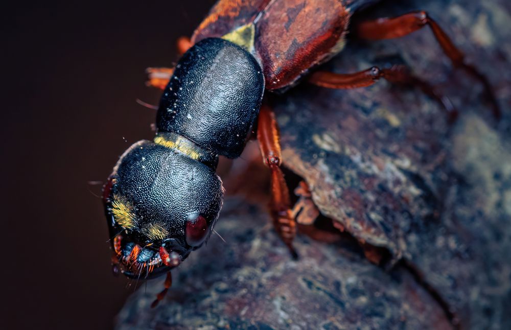 Photograph by Парфентьев Антон