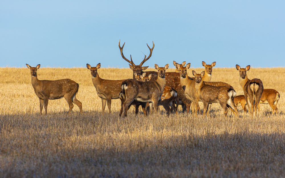 Photograph by Алексей Кузьмин