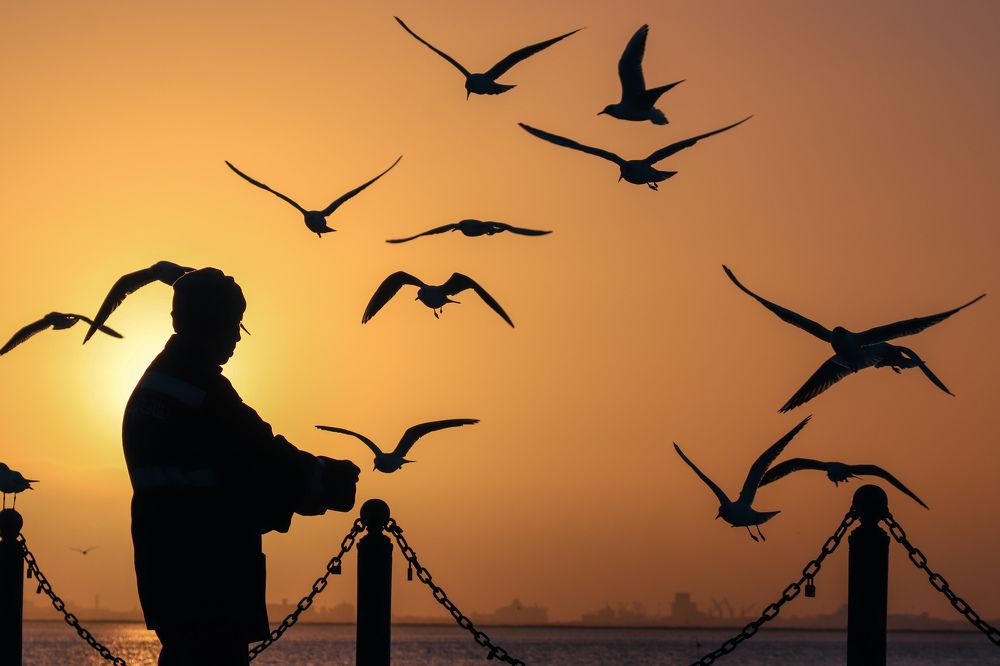 Photograph by Skander CHIHI