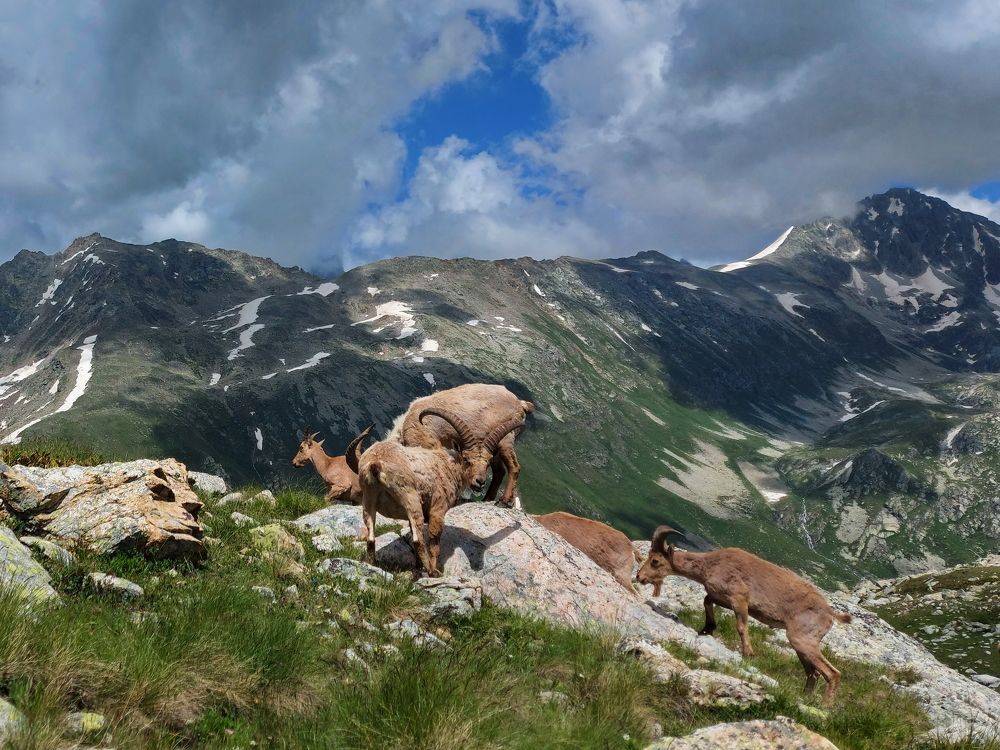 Photograph by Александр Лайпанов