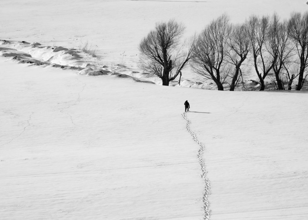 Photograph by mohammad Alipour