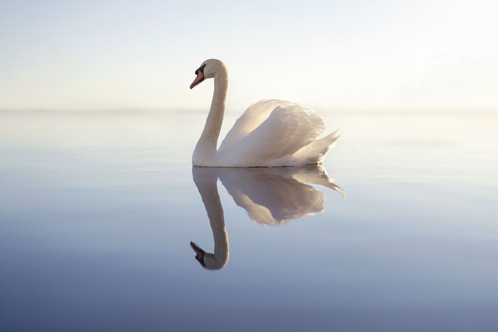 Photograph by Larianna Holm