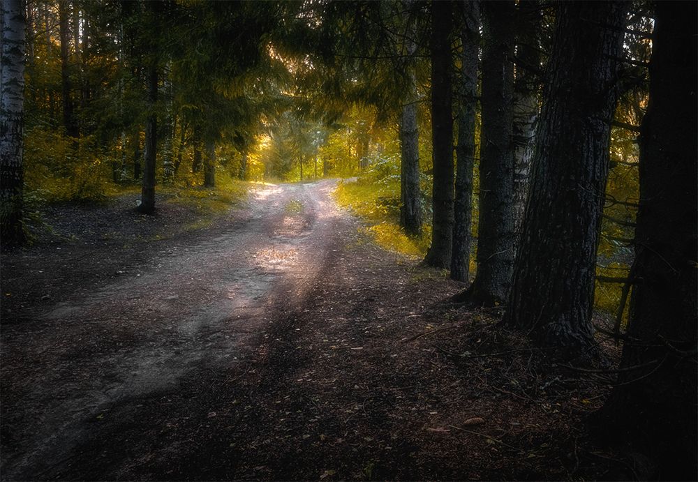 Photograph by Владимир