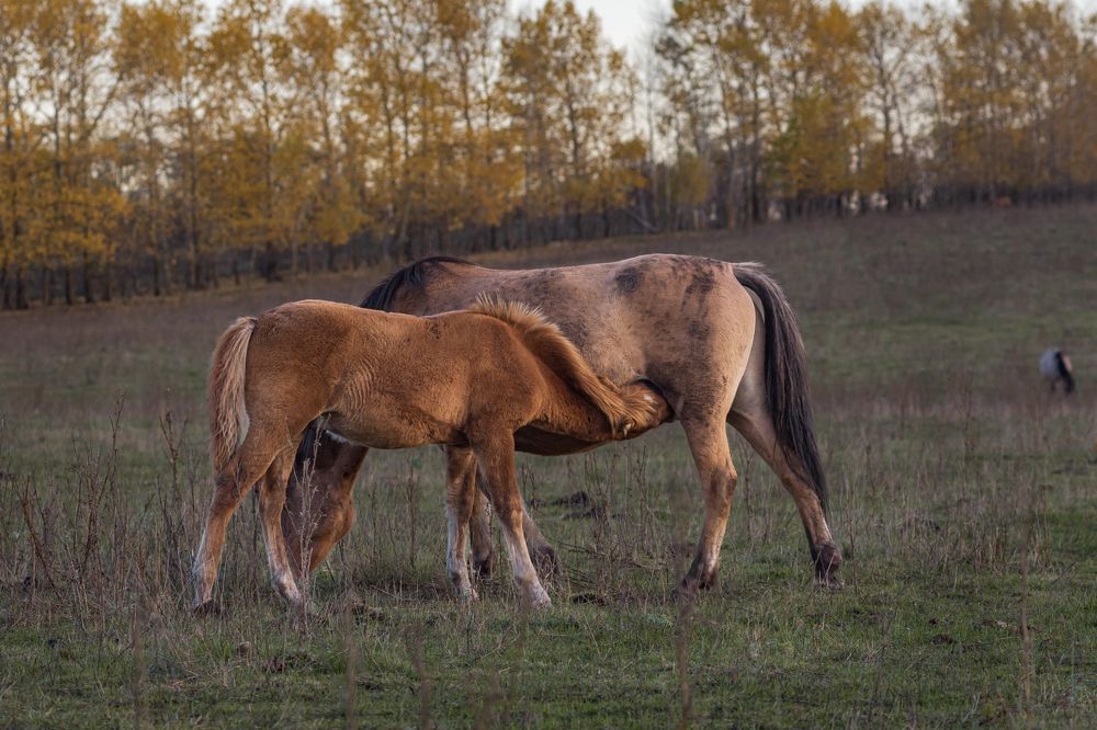 Photograph by Алексей Кузьмин