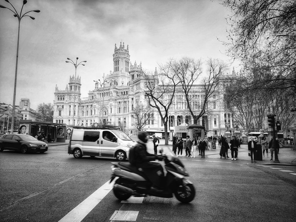 Photo #8955357