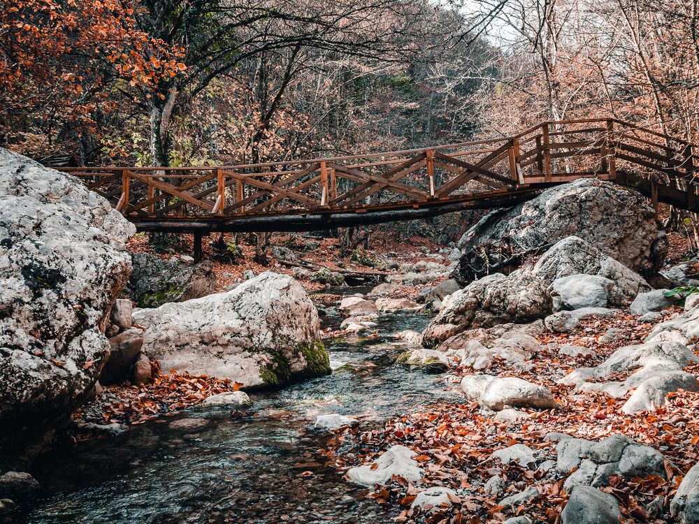 Яблоневый брод