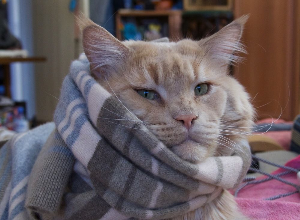 Photograph by Anastasia Perez