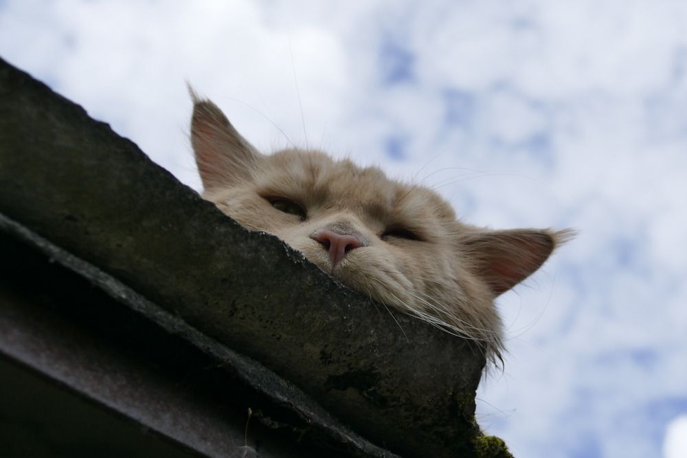 Photograph by Anastasia Perez