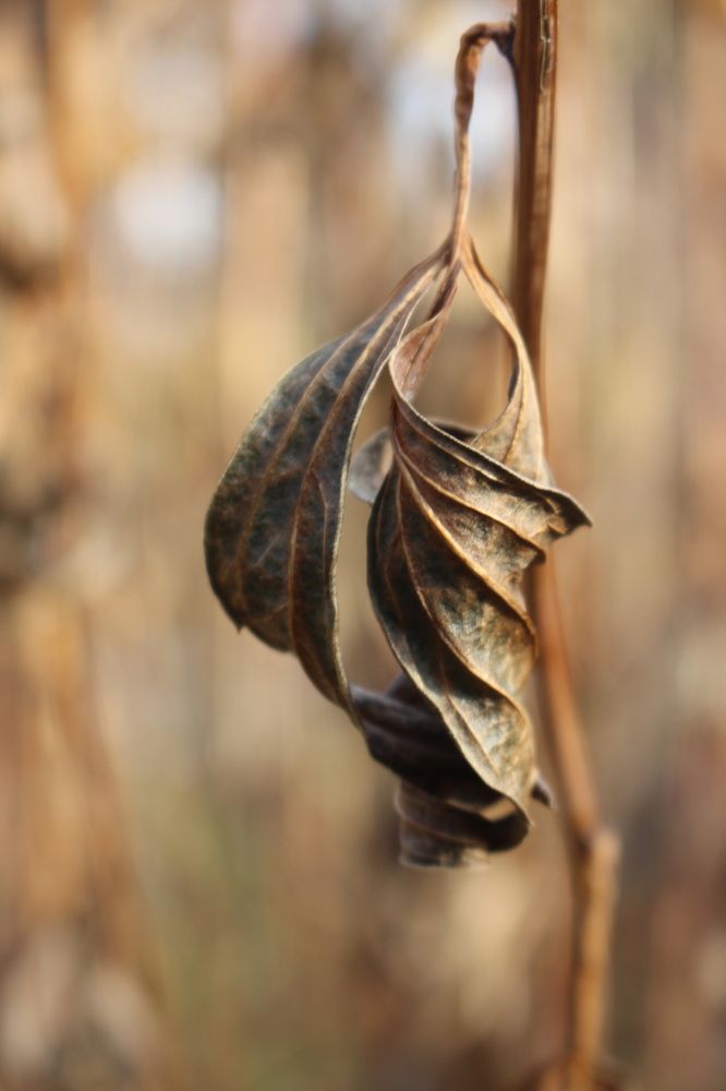 Фотография автора VLADIMIR SHCHERBAKOV